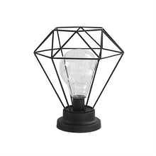 Load image into Gallery viewer, Edison Style Metal Terrarium Lamp Warm White LEDs Wire Lights Battery Operated Night Lamp